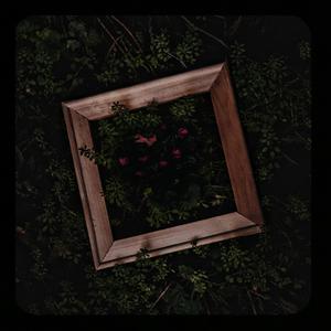 美女直播扒开大腿给你看BB
