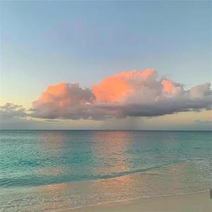 美女直播扒开大腿给你看BB
