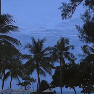 美女直播扒开大腿给你看BB
