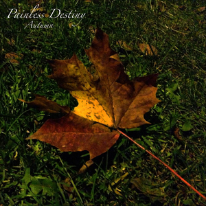 美女直播扒开大腿给你看BB
