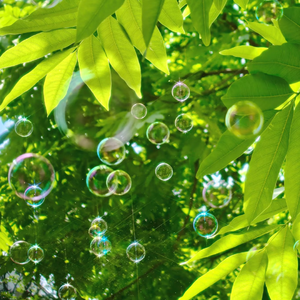 美女直播扒开大腿给你看BB
